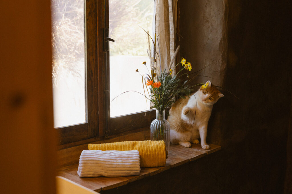Regina_Stelzer_Photography_SW_WEB-62